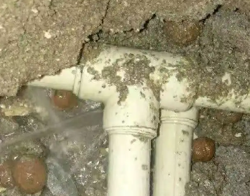 西乡测漏水多少钱