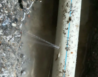 西乡测漏水哪家好