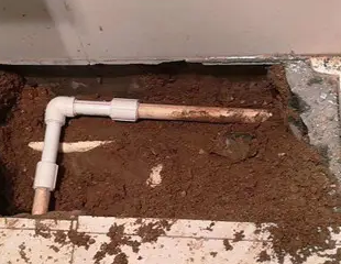 西乡测漏水哪家好