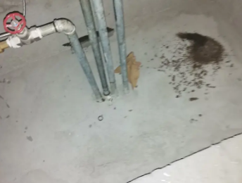 西乡卫生间测漏水价格明细