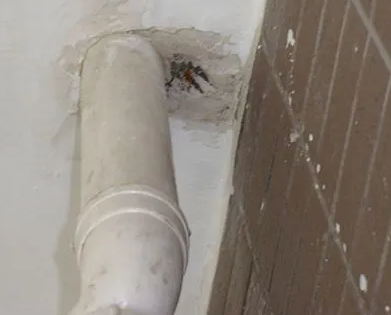 西乡漏水检测哪家好